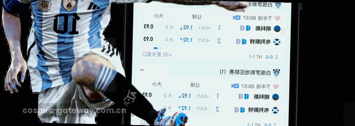 星空入口中国 平台服务说明